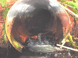 Culvert is rotted & prone to plugging/overflowing--a disaster waiting to happen