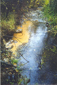 Sediment from road drainage enters Little Brown Creek