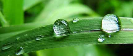 Every drop of rainwater is needed