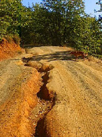 Poor drainage causes road erosion and allows sediment to enter nearby waterways