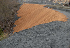 Coco mat, mulch and straw wattles are used to control sediment, slope stability until vegetation is established.