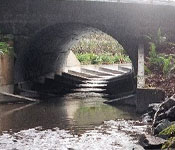 Migration Barrier Removal Project at Peacock Creek