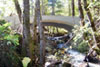 West Weaver Creek at Oregon Street FPIP in Trinity County