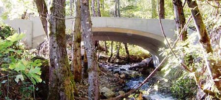 "after" image of Conner Creek road crossing-arch bridge accomodates storm flow and natural creek bed beneath bridge accomodates fish passage "after" image of Conner Creek road crossing-arch bridge accomodates storm flow and natural creek bed beneath bridge accomodates fish passage