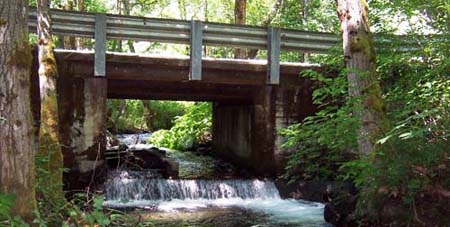 Conner Creek road - box culvert is barrier to fish migration Conner Creek road - box culvert is barrier to fish migration