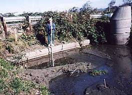 Sediment buildup at culvert is evident Sediment buildup at culvert is evident