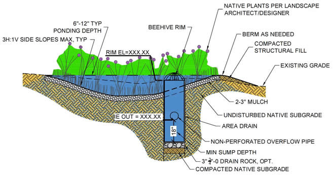Infiltration Rain Garden with Area Drain