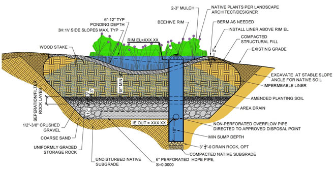 Filtration Rain Garden