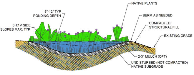Simple Infiltration Rain Garden