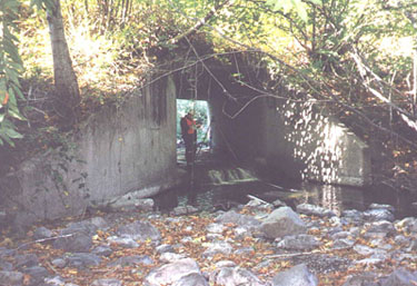 Indian Creek-Mattole Road crossing, box culvert creates fish barrier Indian Creek-Mattole Road crossing, box culvert creates fish barrier
