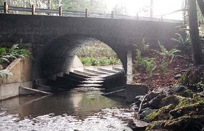 Peacock Creek crossing improved with fish weir and capacity for increased volume Peacock Creek crossing improved with fish weir and capacity for increased volume