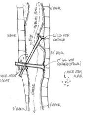 Sample of design for Large Woody Debris Placement Sample of design for Large Woody Debris Placement