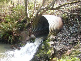 Undersized culvert at Anker Creek created sedimentation and served as a barrier to salmonids Undersized culvert at Anker Creek created sedimentation and served as a barrier to salmonids