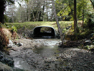 Replacement crossing at anker Creek affords full passage for all stages of salmonids and higher flows