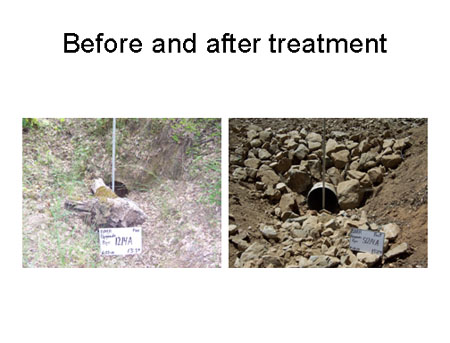 Good example of before & after photo monitoring