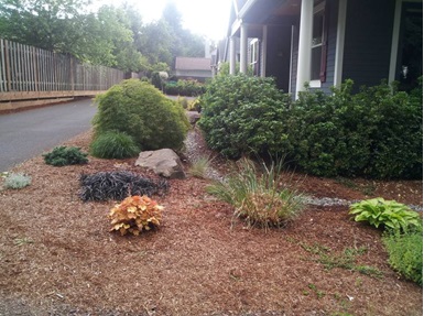 Rock swale conveys water from a downspout