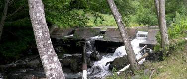 Dam creates formidable fish barrier Dam creates formidable fish barrier