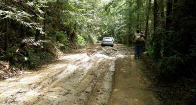 Section of road is impassable during winter/rain and contributes heavy loads of sediment to creeks Section of road is impassable during winter/rain and contributes heavy loads of sediment to creeks