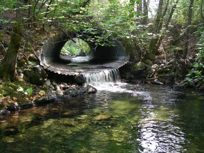Culvert barrier removed to aid fish migration Culvert barrier removed to aid fish migration